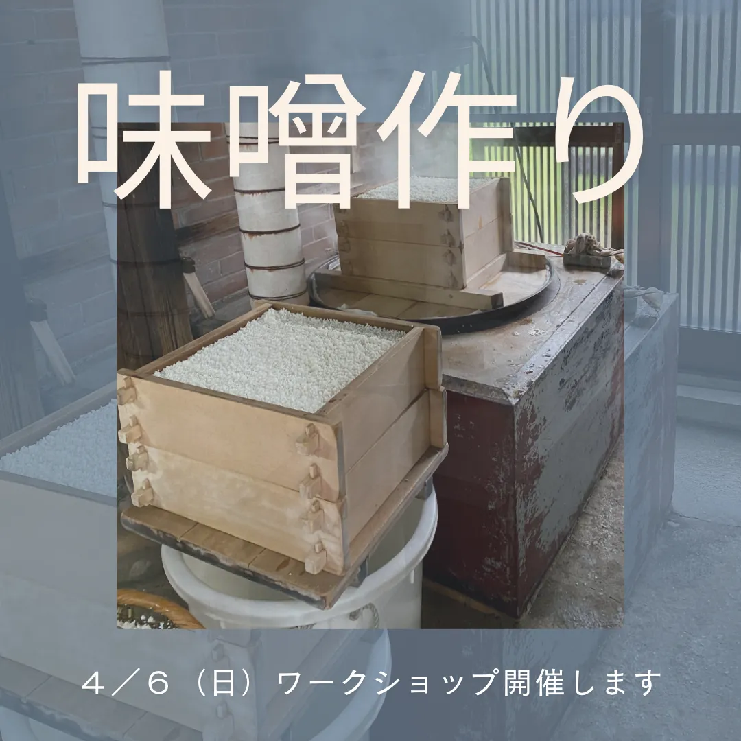 【4/6味噌作りワークショップ】北九州市サロン｜aroma & healing salon ylangylang.